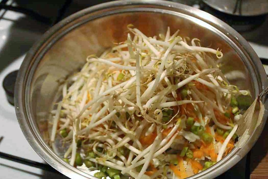 Salat asia style – mit Soja, Sprossen und Gedöns – glatzkoch.de