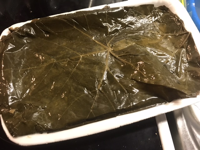 Gefüllte türkische Weinblätter vegetarisch mit Reis – Dolma / Sarma ...