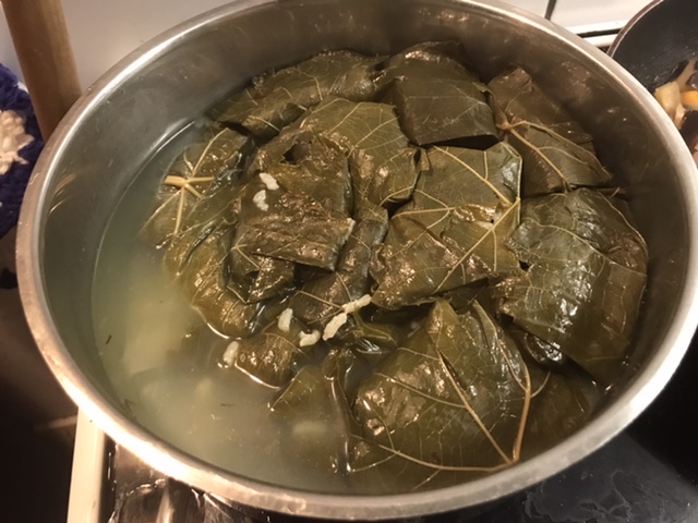 Gefüllte türkische Weinblätter vegetarisch mit Reis – Dolma / Sarma ...