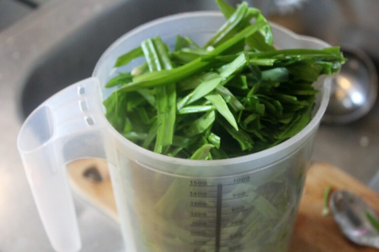 Bärlauchpesto mit gerösteten Mandeln – glatzkoch.de